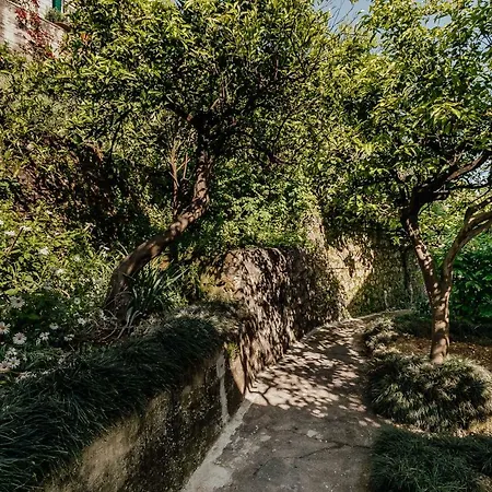Boka Apartment 4 Herceg Novi Exterior photo