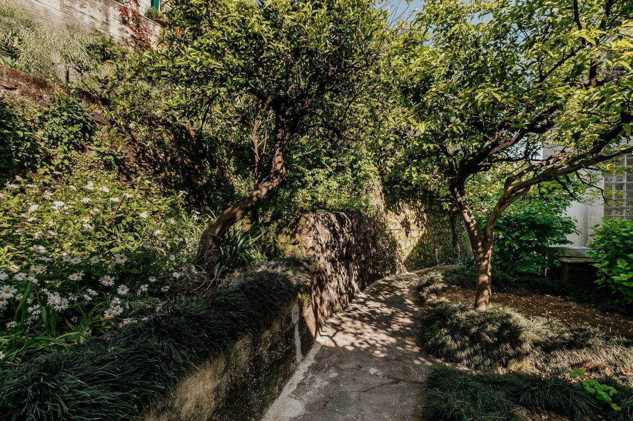 Apartment Boka 4 *